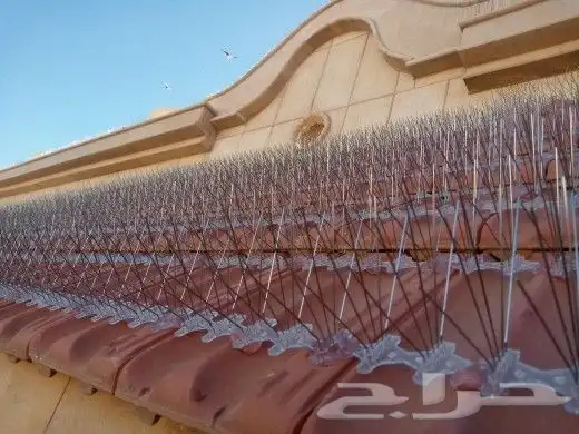 شركة طارد الحمام 2