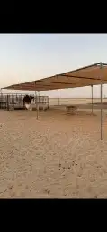 مضلات عنم وابل 4