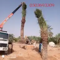 كرين ونش للايجار الخرج العفجه الهياثم ملف عواد السهبا اليمام 4