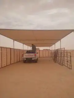 مضلات عنم وابل 0