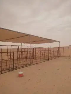 مضلات عنم وابل 1