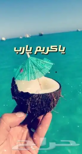 صيد و رحلات 0