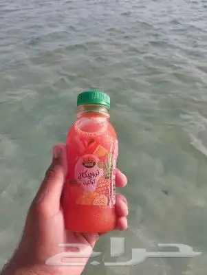 صيد و رحلات 2