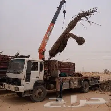كرين ونش للايجار الخرج العفجه الهياثم ملف عواد السهبا اليمام 3