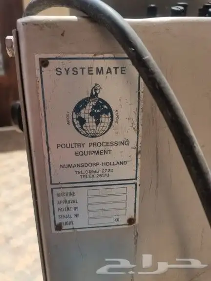 نتافة دجاج هولندية 5