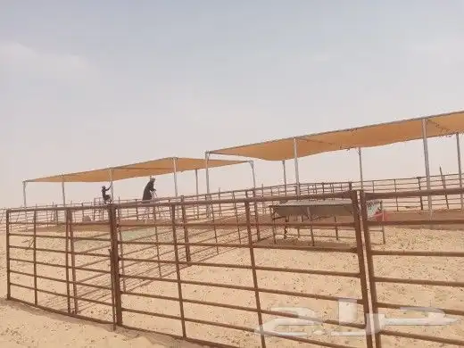 مظلات أبل ثابته 5