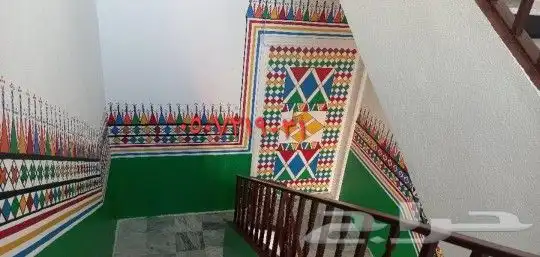 قط عسيري 4