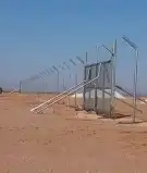 لتوريد جميع انواع النخيل العربي والواشنطن وشبوك المزارع 4