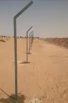 لتوريد جميع انواع النخيل العربي والواشنطن وشبوك المزارع 5