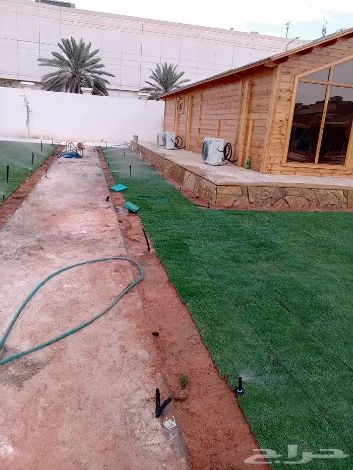 الرياض زراعة جميع انواع الثيل والأشجار والنخيل والزهور.. 2