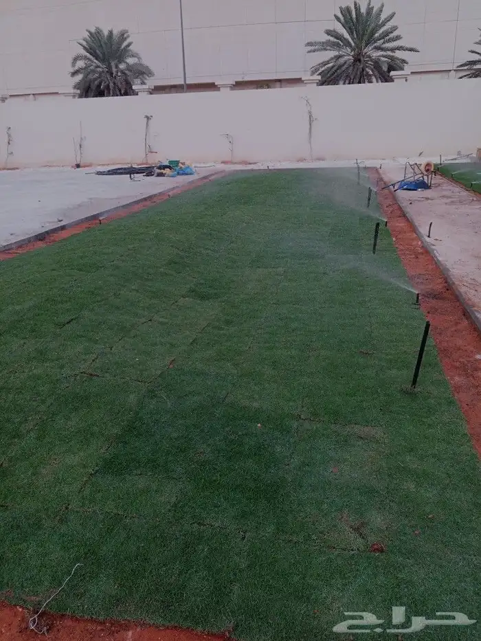 الرياض زراعة جميع انواع الثيل والأشجار والنخيل والزهور.. 6