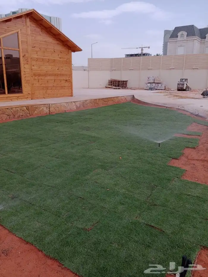 الرياض زراعة جميع انواع الثيل والأشجار والنخيل والزهور.. 8