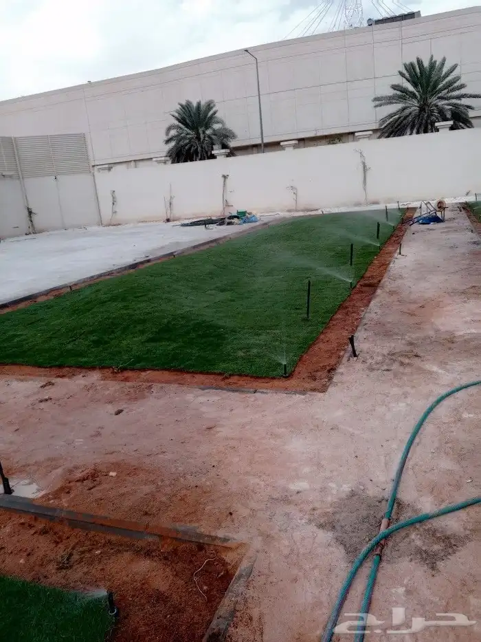 الرياض زراعة جميع انواع الثيل والأشجار والنخيل والزهور.. 3