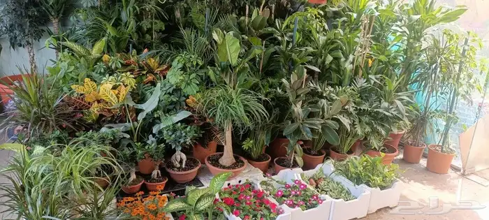 تنسيق حدائق أعلى مستوى عندنا كل اللى تحتاجه حديقتك 6