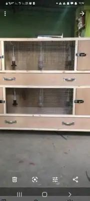 قن دجاج ( عشة دجاج ) 3