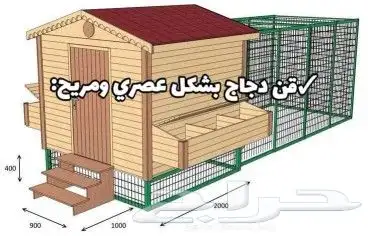 قن دجاج ( عشة دجاج ) 2