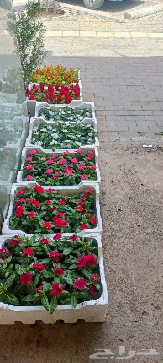 تنسيق حدائق أعلى مستوى عندنا كل اللى تحتاجه حديقتك 2
