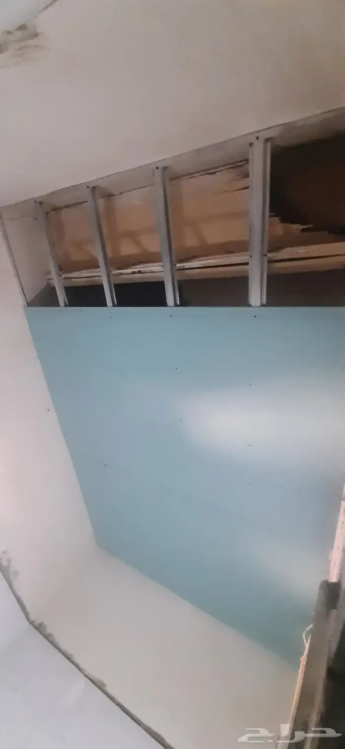 جبس بورد المدينه 30
