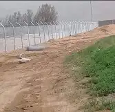 توريد وتوركيب جميع انواع شبوك  شبوك سياج  شبوك طرق  شبوك 2