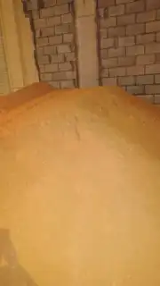 دينه ترحيل مخلفات ونقل والايجار الشهري واليومي 1