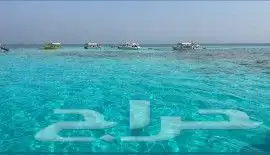 رحلات بياضه 5