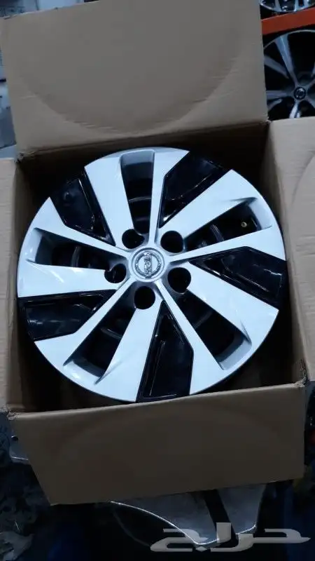 جنوط التيماء حديد 2023 6