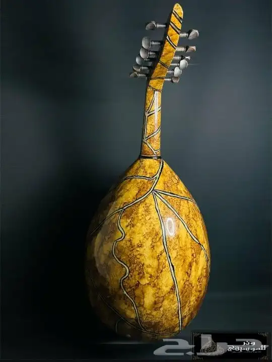 عود موسيقي لوكس فاخر جديد للبيع 2