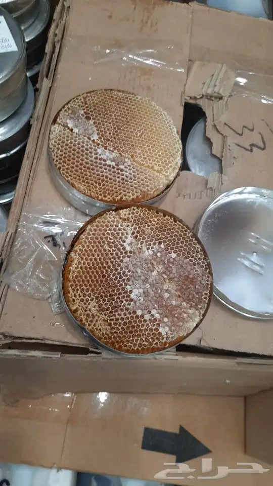 عسل شمع سدر يمني 1