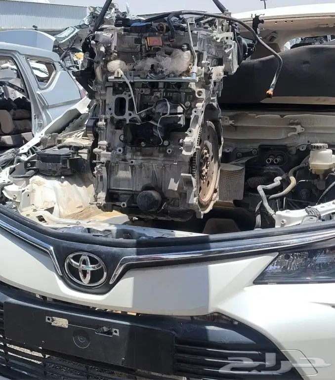 مكينه كورلاء2021 0