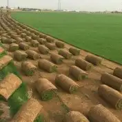 تنسيق حداىق حديثه ابو ريان لجميع انواع اثيل وشبكات اري 3