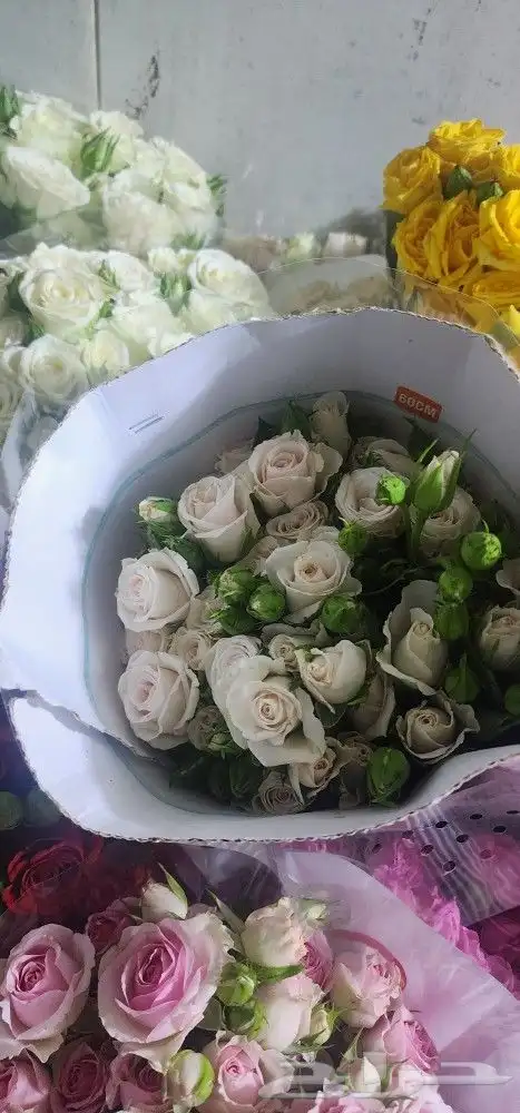 ورد بالجمله والتجزئه 2
