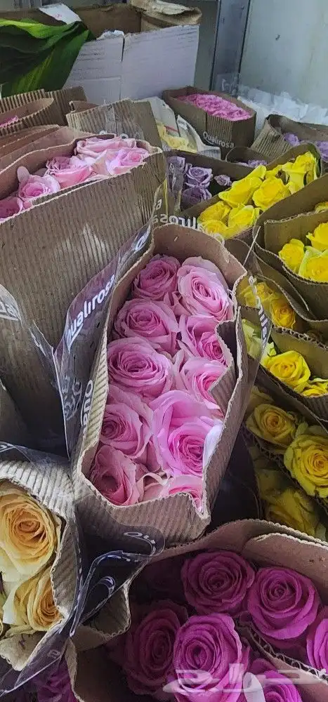 ورد بالجمله والتجزئه 8