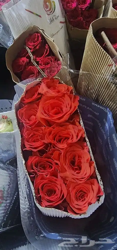 ورد بالجمله والتجزئه 3