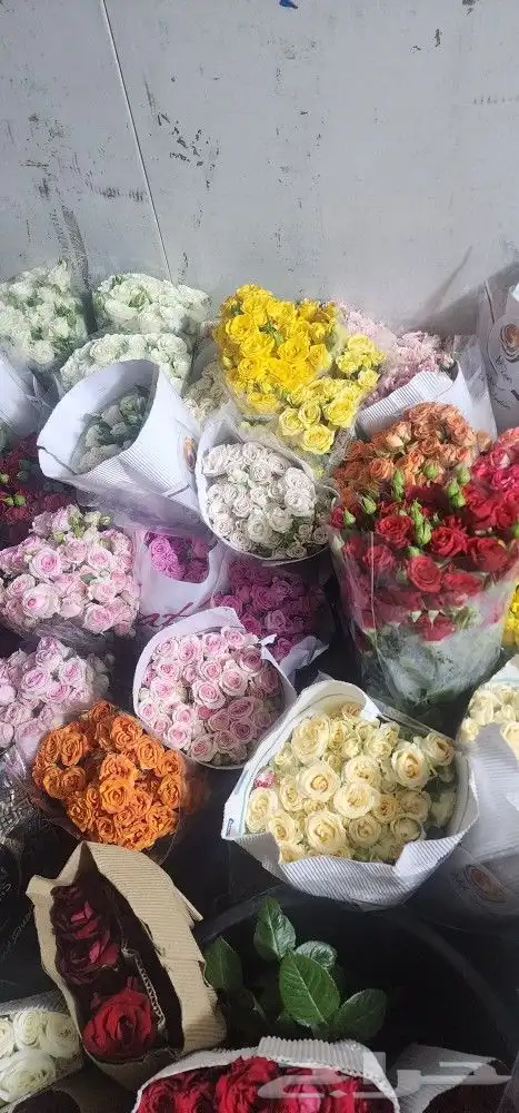 ورد بالجمله والتجزئه 1