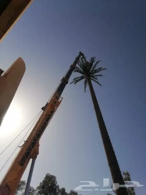 كرينات للايجار حائل 50طن 2