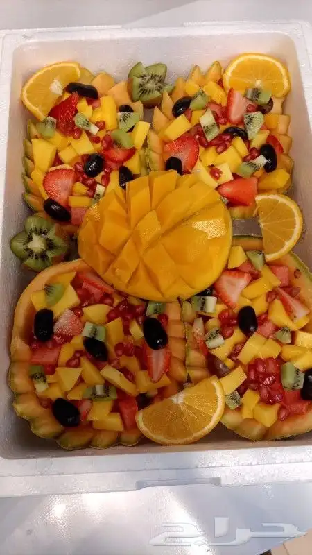 رحلات بياضه وصيد 17
