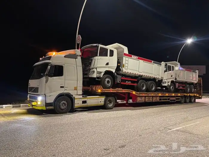 لوبد متواجد في قيال 0