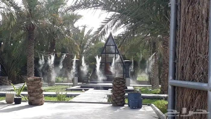 رذاذ ضباب 9