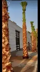 تسوير المزارع والأراضي وتركيب شبوك الملاعب 7