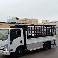 دانه نقل عفش 0