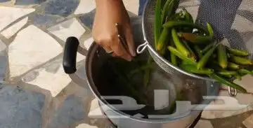 عسل فانيلا وشتلات وفانيلا جاف 27