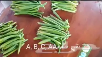 عسل فانيلا وشتلات وفانيلا جاف 28