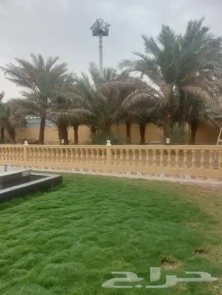 ثيل طبيعي ورود توريد وتركيب 8