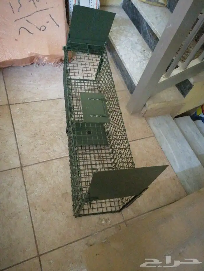 مصيده ام بابين.. 2