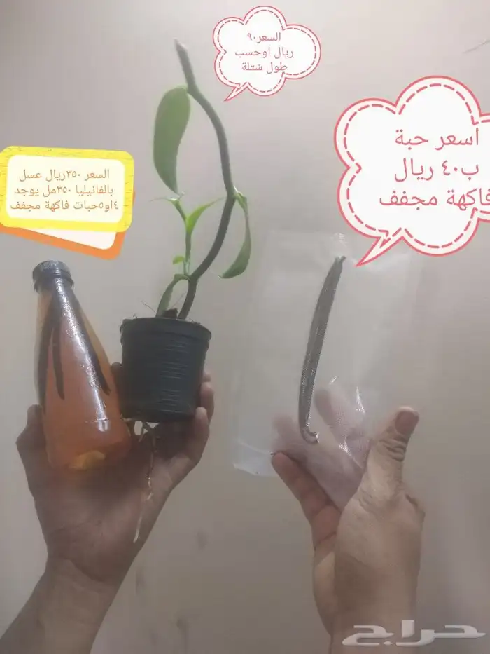 عسل فانيلا وشتلات وفانيلا جاف 0