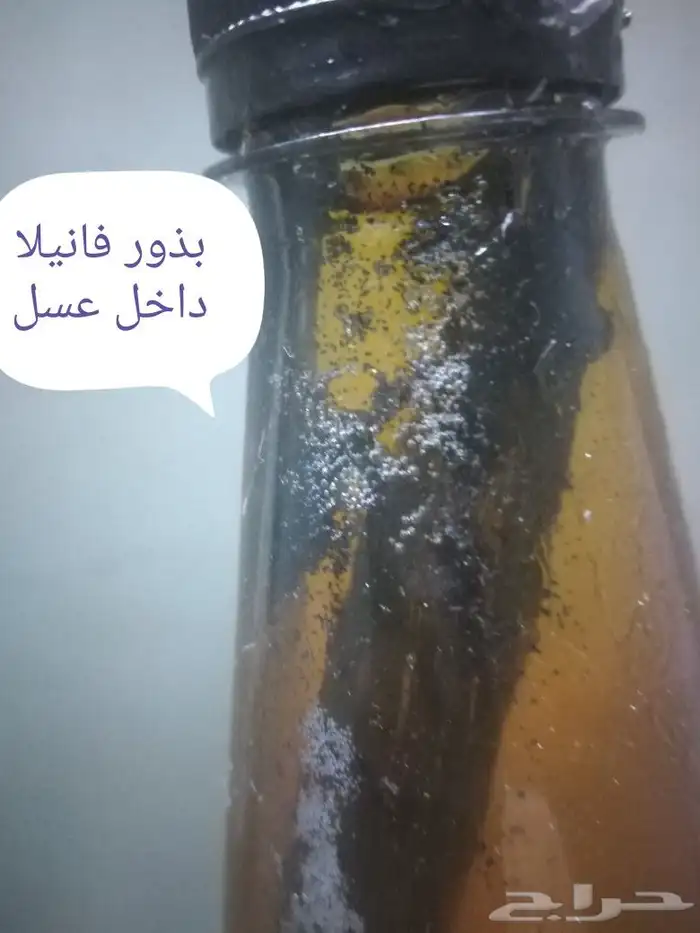 عسل فانيلا وشتلات وفانيلا جاف 3