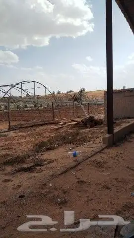 ex. Apr. 24 2024السلام عليكم ورحمة الله وبركاته  عمل حملات 2