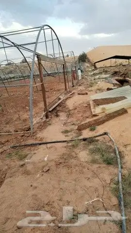ex. Apr. 24 2024السلام عليكم ورحمة الله وبركاته  عمل حملات 3