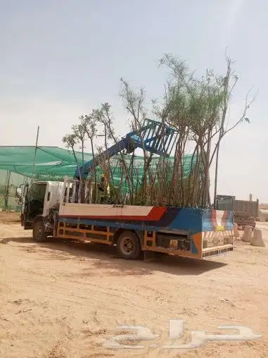 رافعة شوكي ة لايجار شهري يومي 16