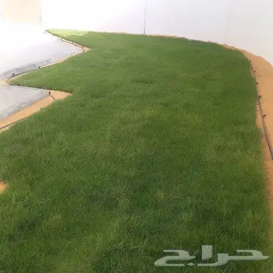 تنسيق الحدائق والشلالات والنوافير 2